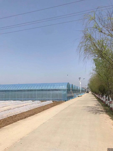 简易连栋温室
