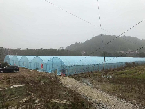 圆拱和尖顶