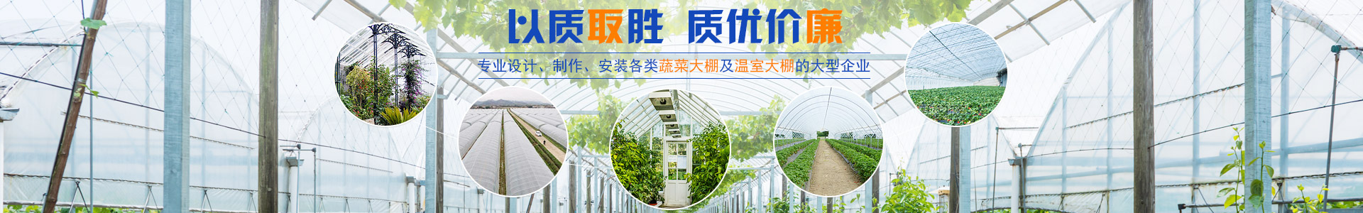 湖南同利棚业有限公司_同利棚业|湖南蔬菜大棚|湖南温室大棚|温室工程