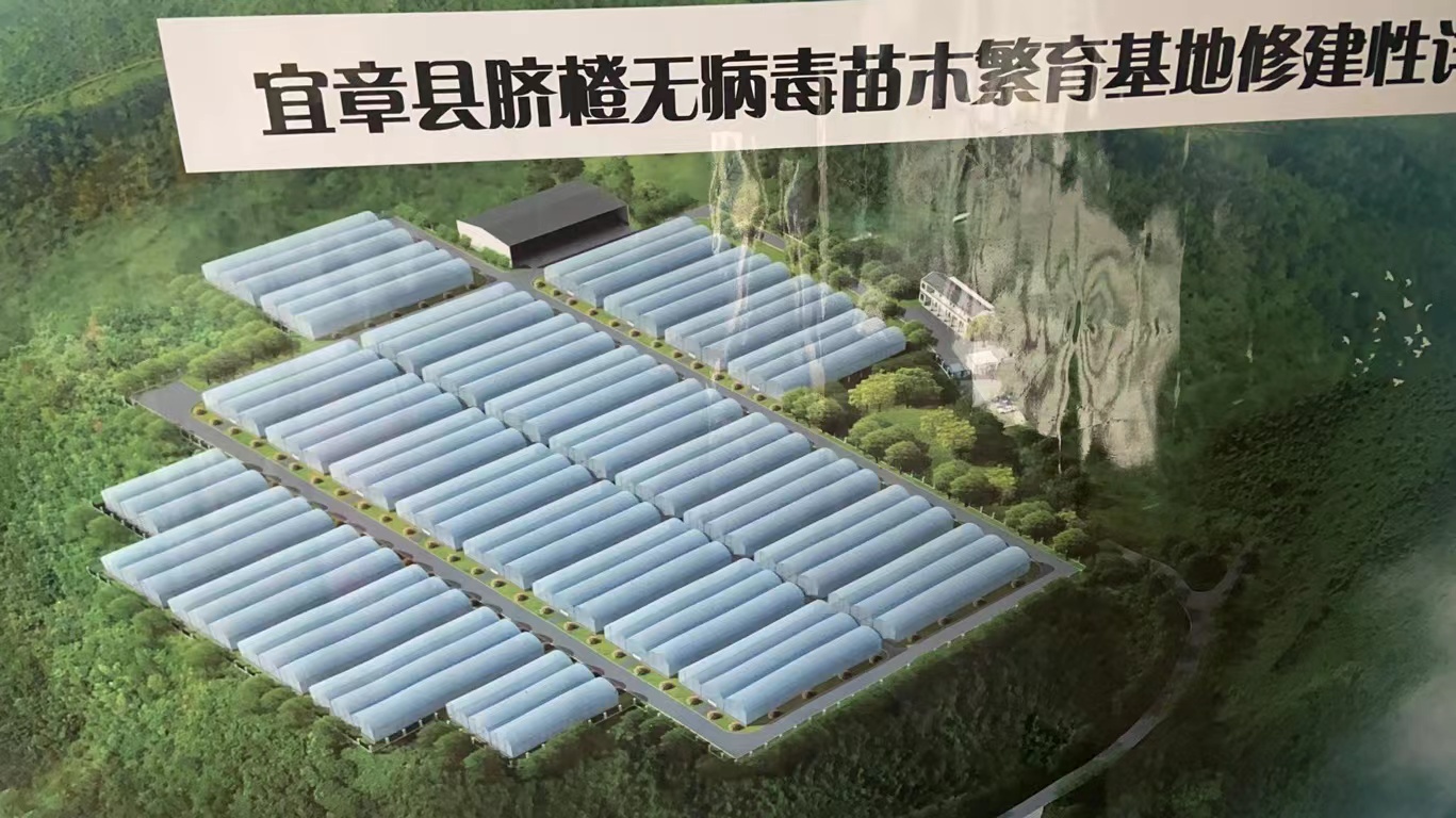 湖南同利棚业有限公司,湖南蔬菜大棚,湖南温室大棚,温室工程